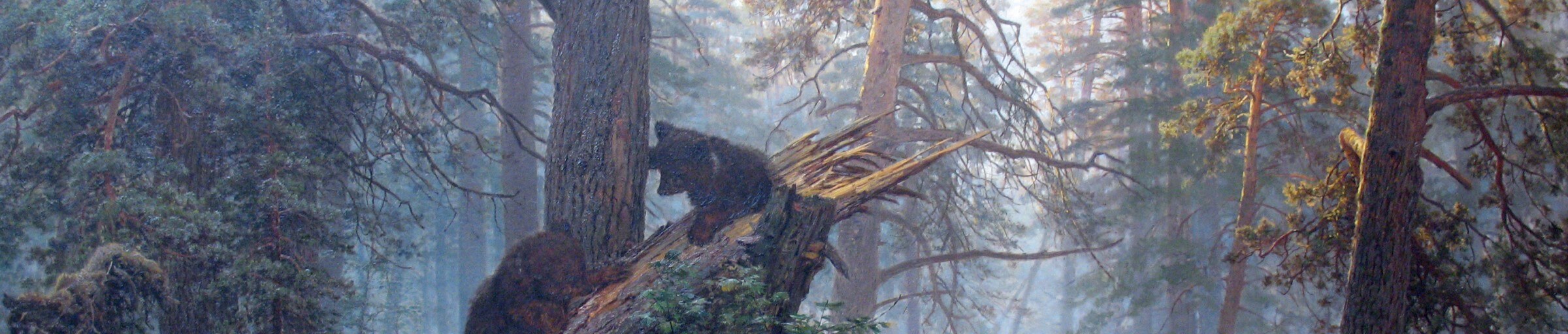 Шишкин. Жизнь и творчество feature image